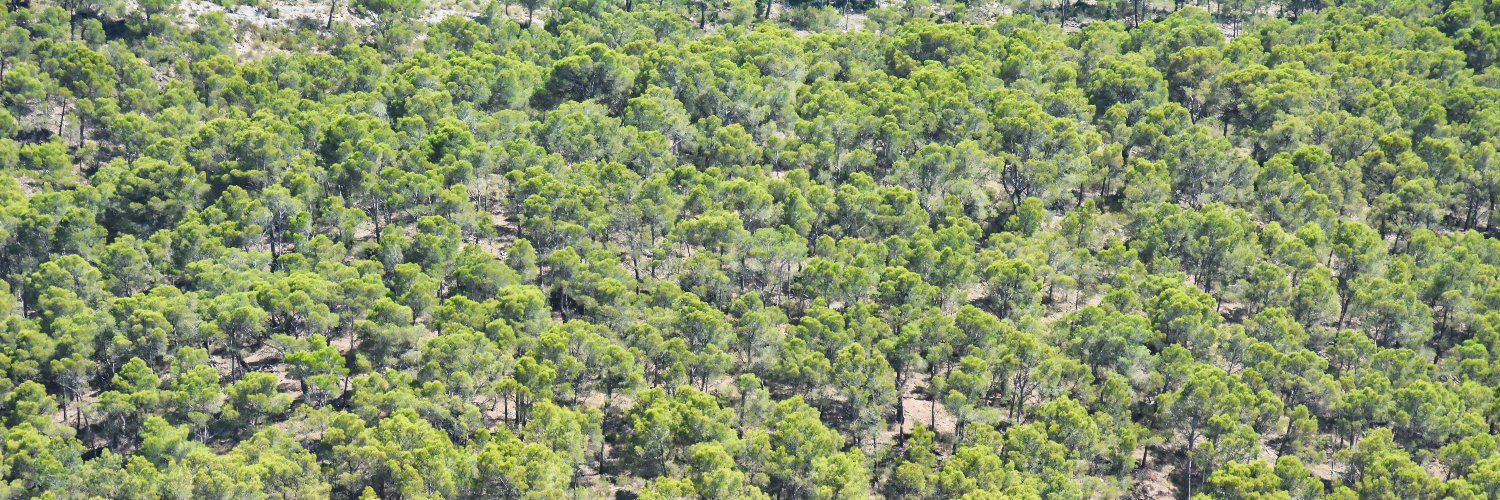 LIFE ADAPT-ALEPPO banner
