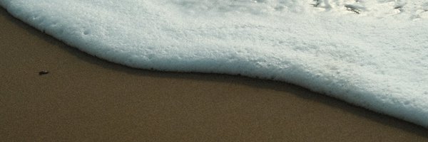 vmelnikova_en Profile Banner