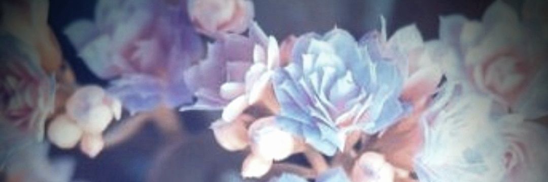 Mosqueteira🌸 banner