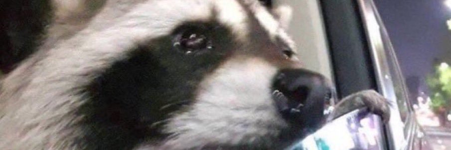 roshaannnn's profile banner image