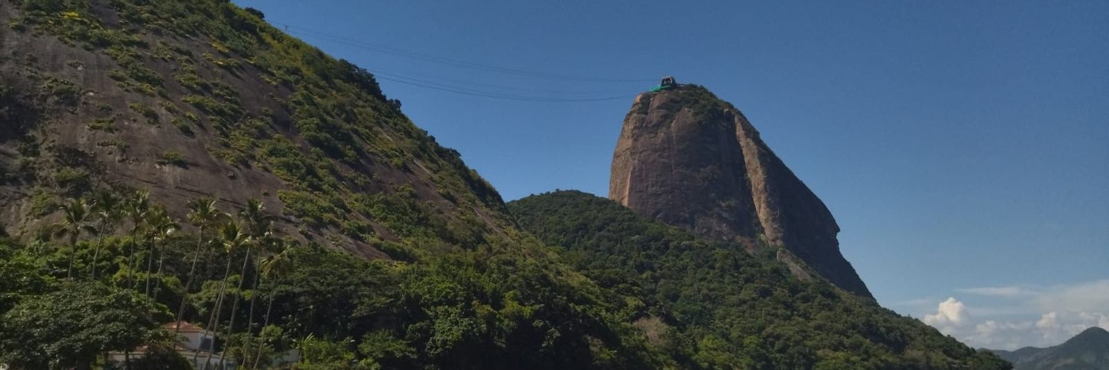 Luciana Miranda de Sá banner