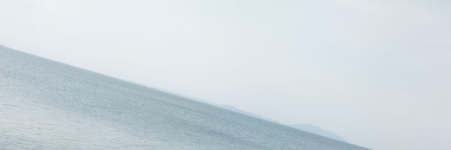 plub banner