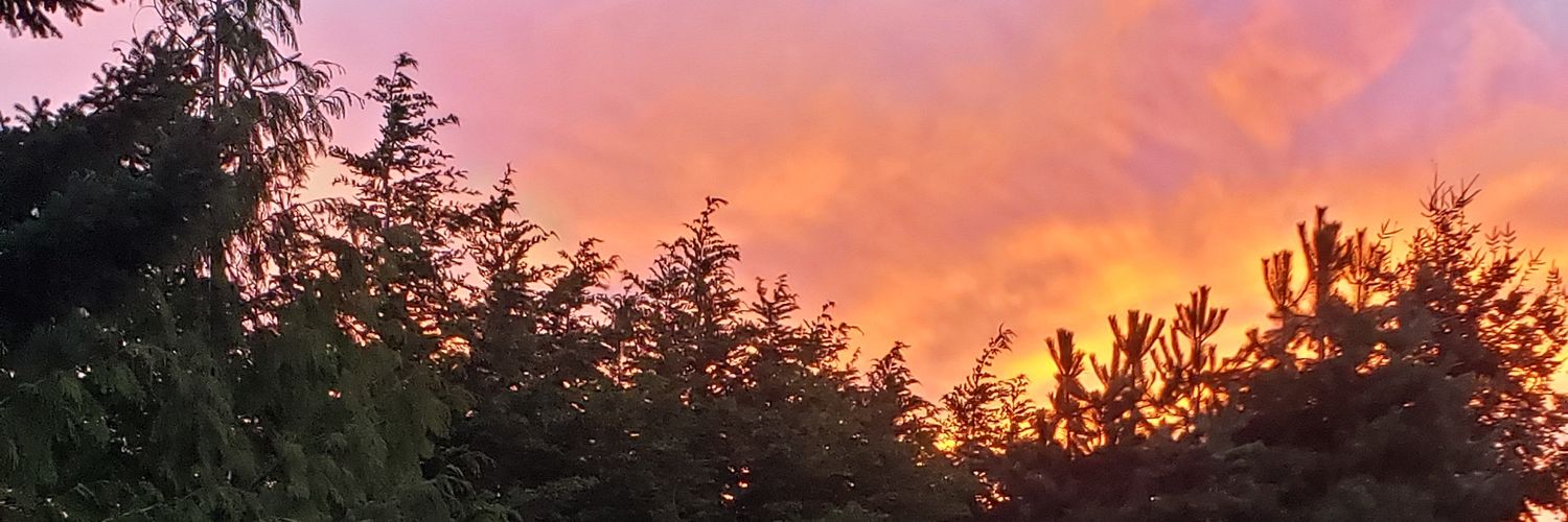 lilasia's profile banner image