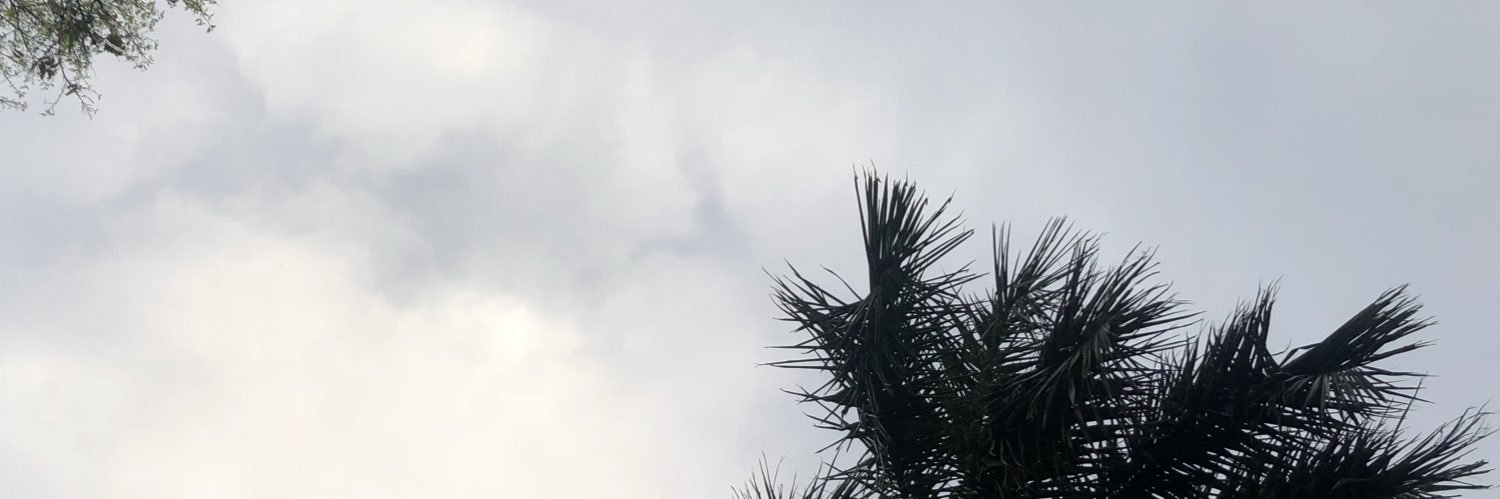 vidhika2's profile banner image