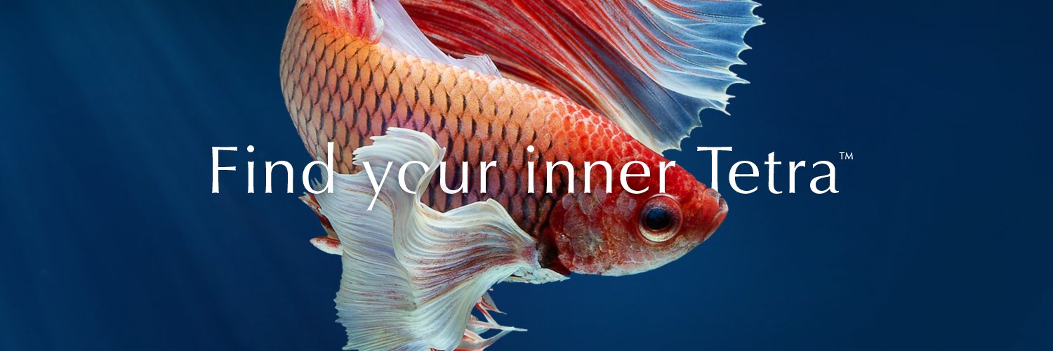TetraFish's profile banner image