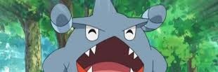 Gible gitano banner