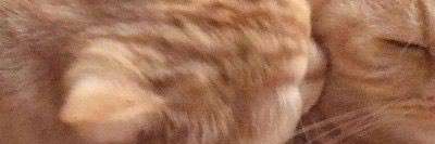 Sotonghanyut's profile banner image