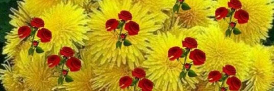 GoodMind111's profile banner image