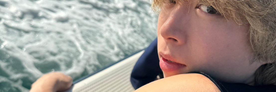 🐬 ɴᴏᴀ 🐬 banner