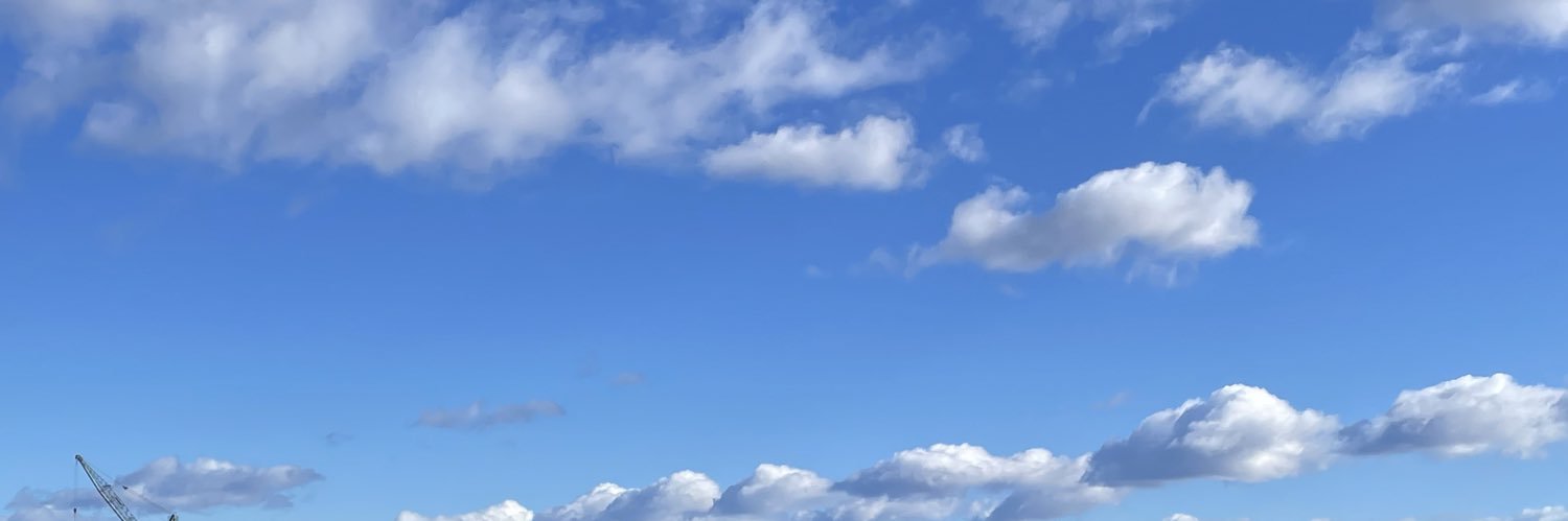 treehugger25's profile banner image