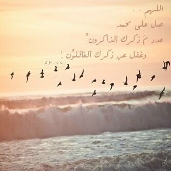 For_Faisal11's profile banner image