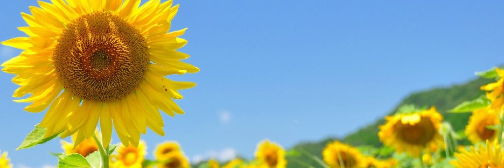 取引 banner