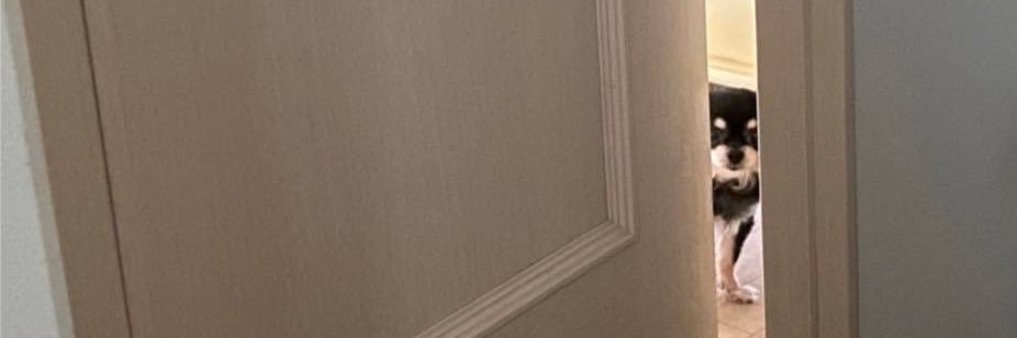 o_imomomo's profile banner image