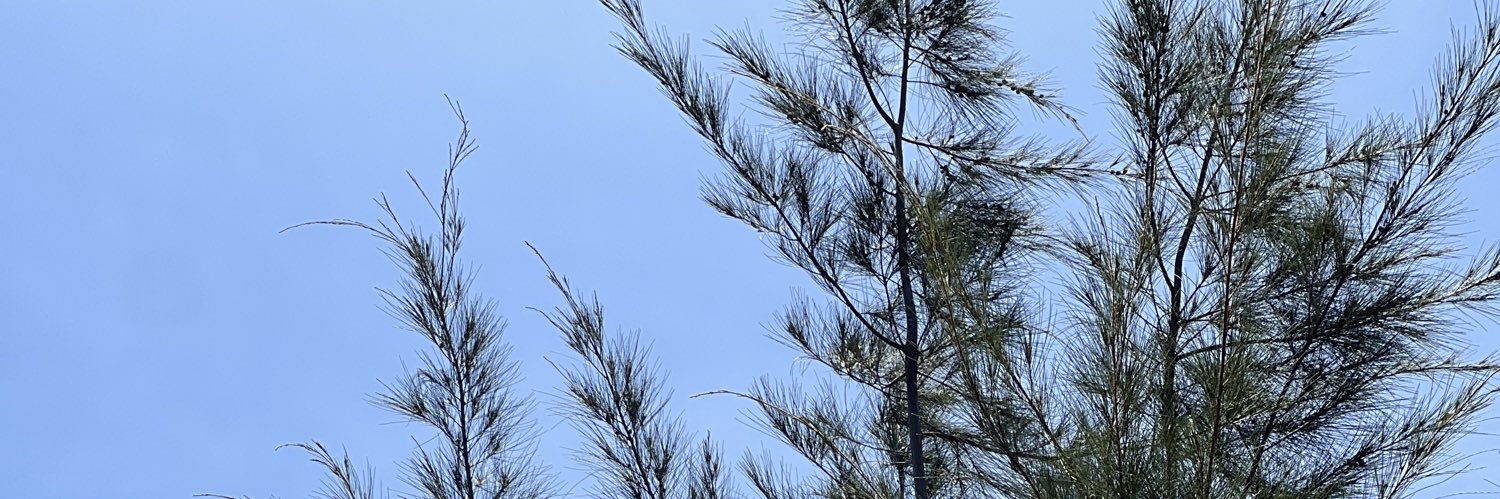 mackypadlan_'s profile banner image
