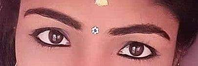 Meena banner