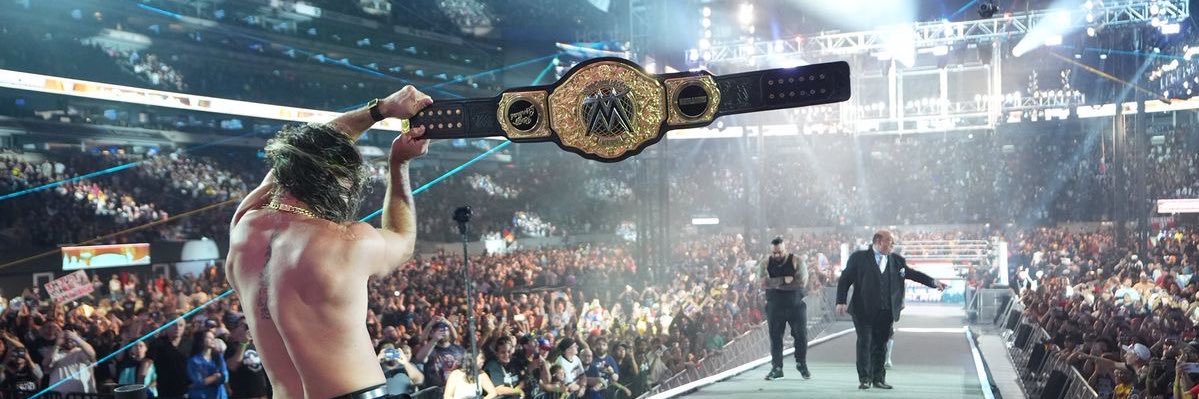 ˏˋ°•*⁀➷𝓦 ⊱ ۫ ׅ ✧ banner