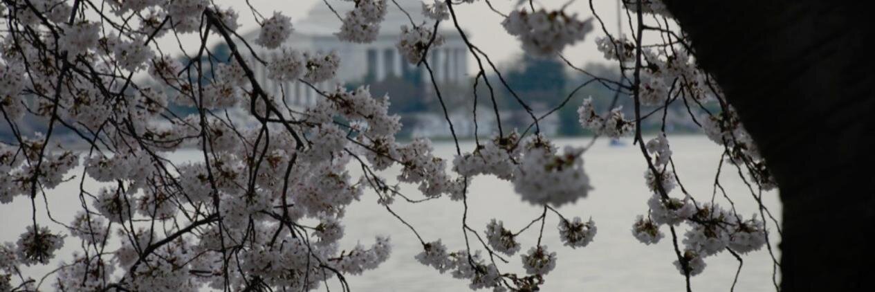 jeffapeters's profile banner image