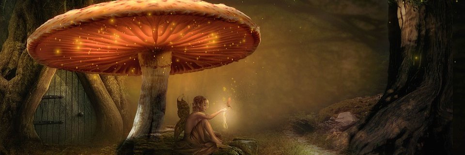 Guardabarrancoh's profile banner image