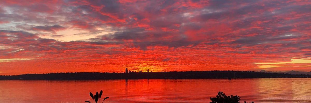 tomrodney's profile banner image
