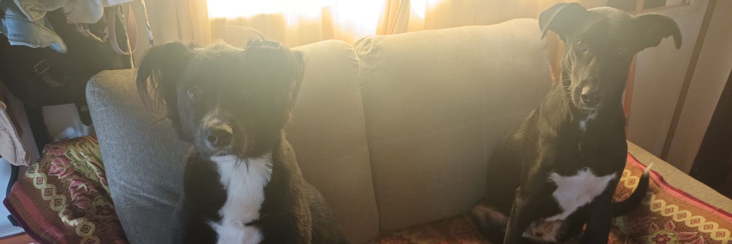 Rochydiiaz's profile banner image