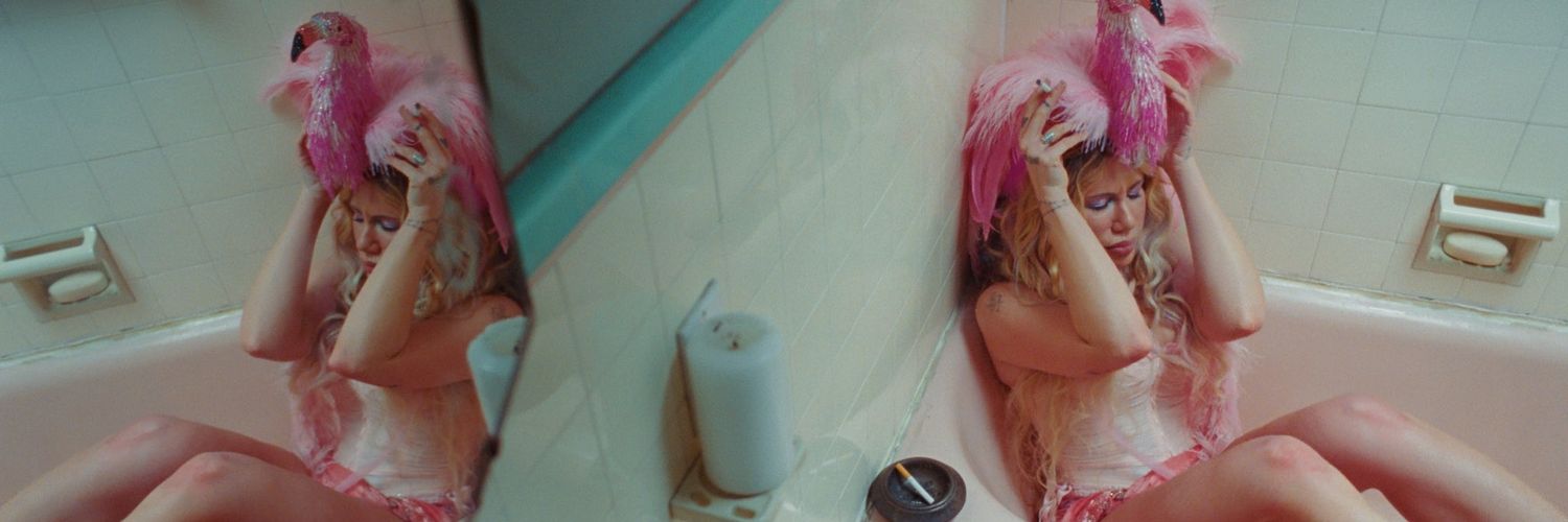 vampire in the corner banner