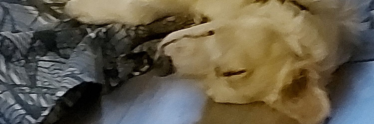flopez_es's profile banner image