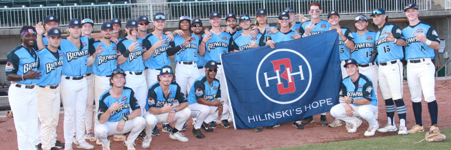 Blowfish Baseball's banner