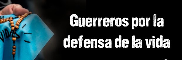 Prolife Army Peru banner