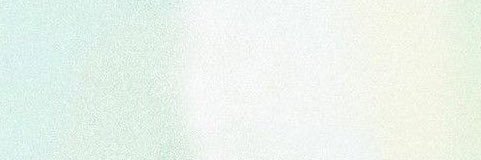 🐯 banner