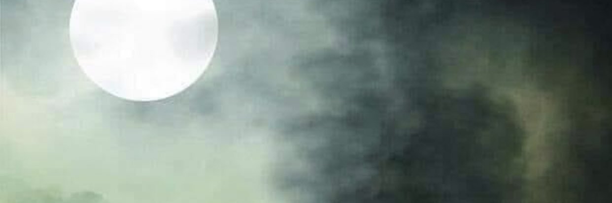 HVuNguye's profile banner image
