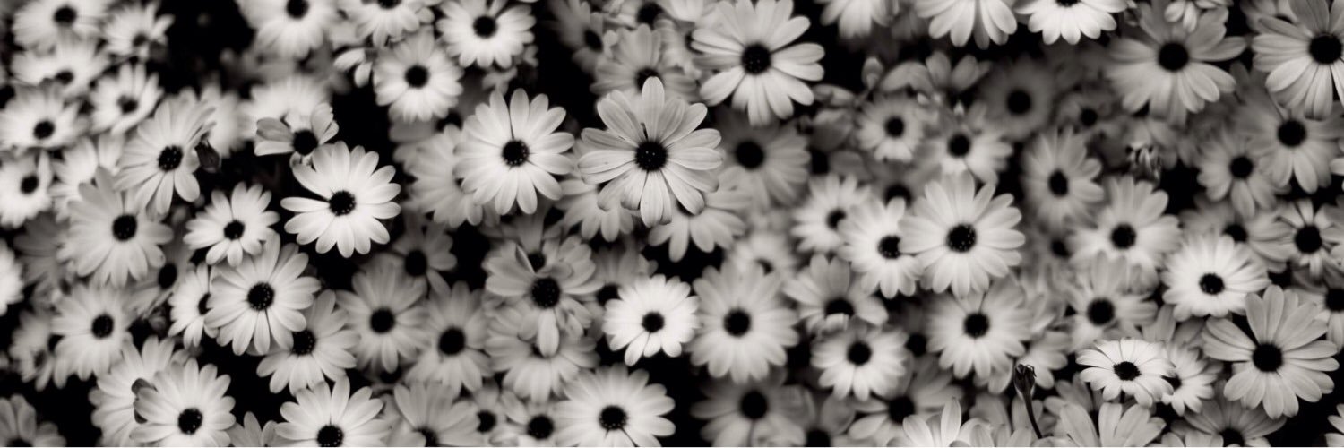 danai_est's profile banner image
