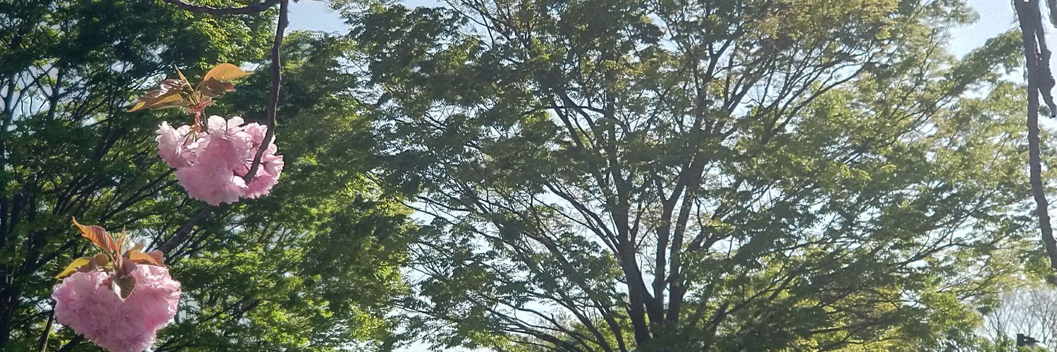 silverstar_crow's profile banner image