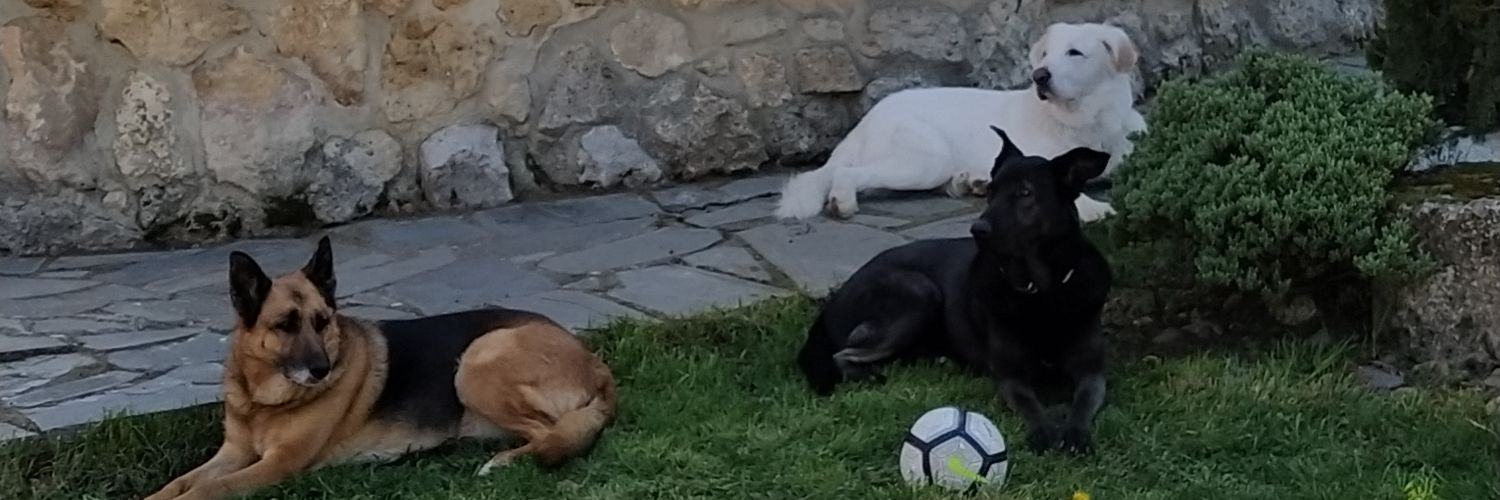 aguafran84's profile banner image