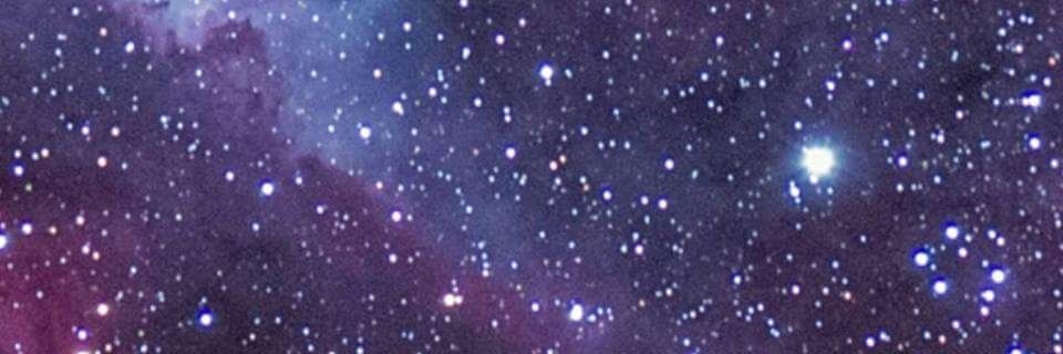 thatsteezeyone's profile banner image