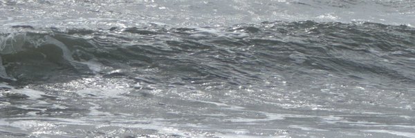 gagantalwar Profile Banner