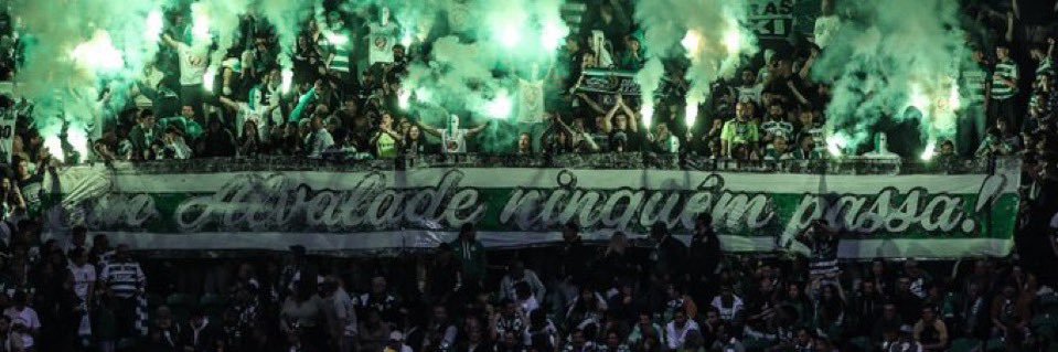 David 🇵🇹 banner