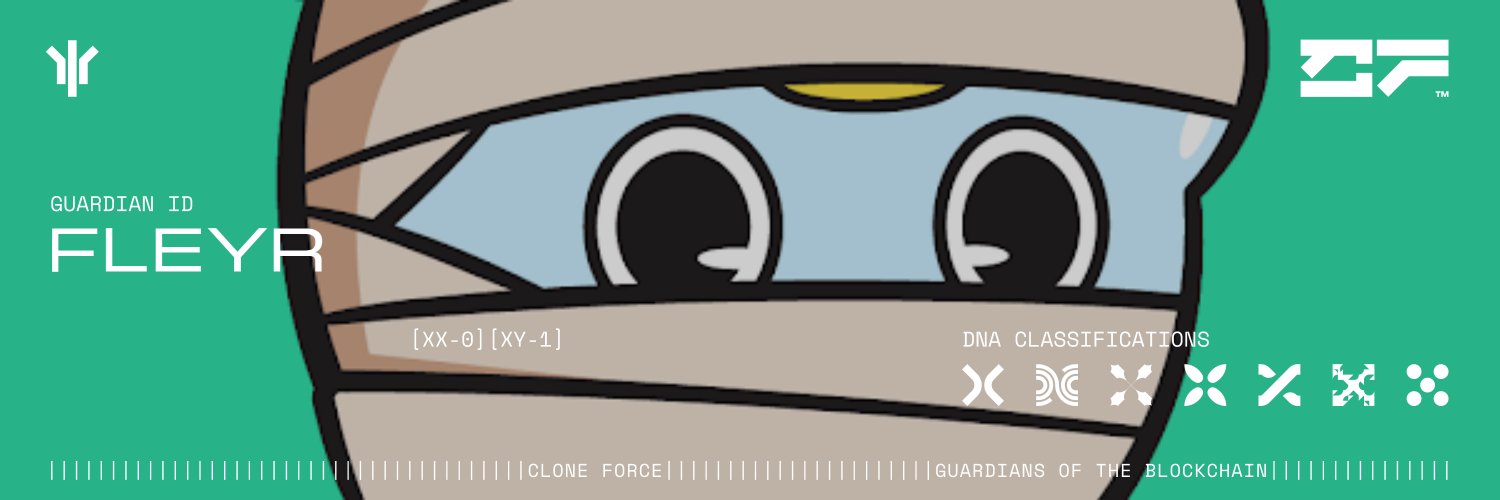 0xFleyr banner