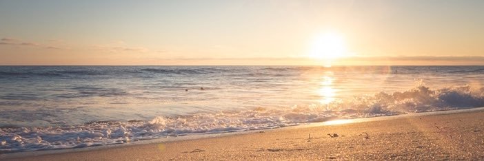 Grace Jenkins banner