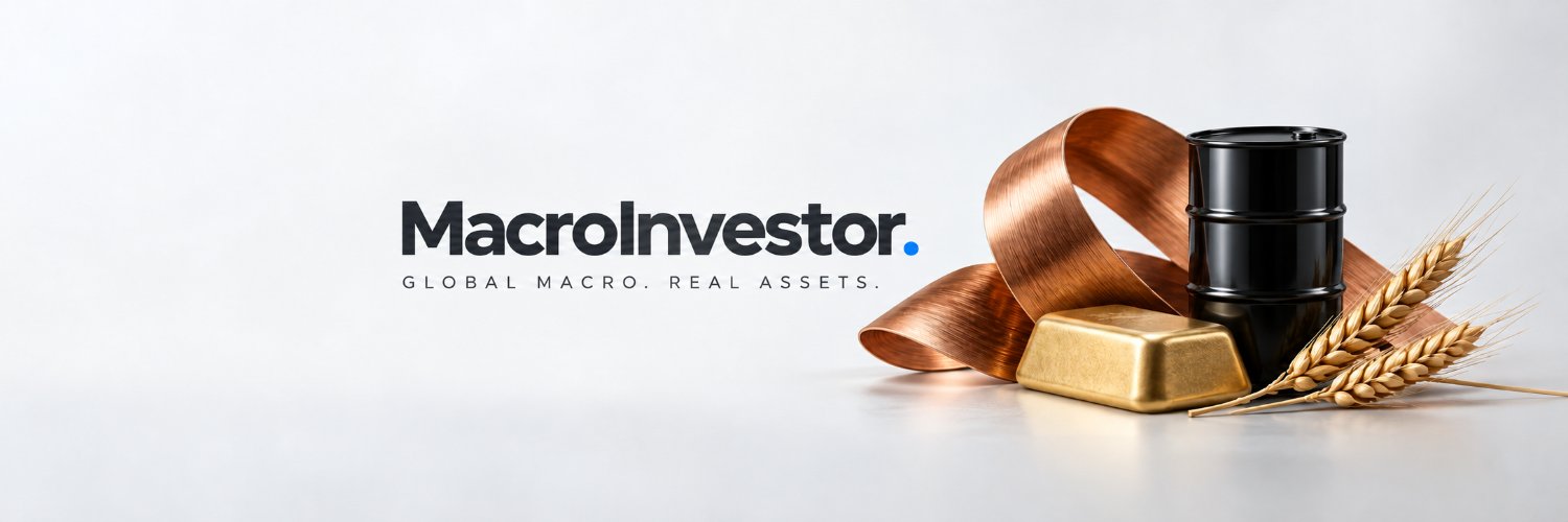 MacroInvestorPL's profile banner image