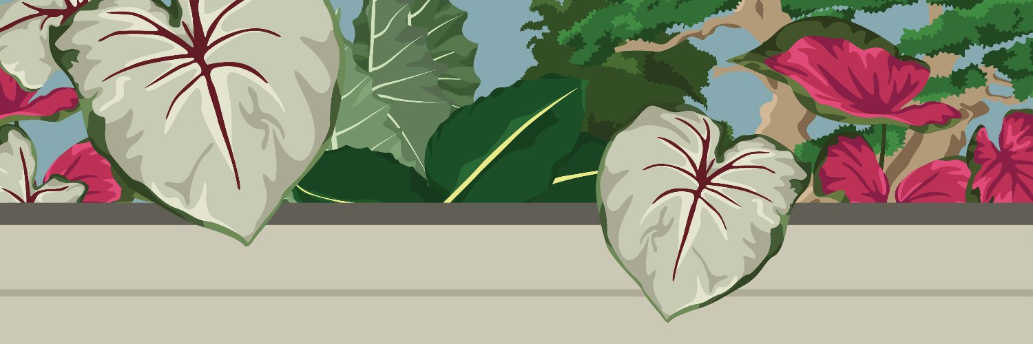 IG @narphiart banner