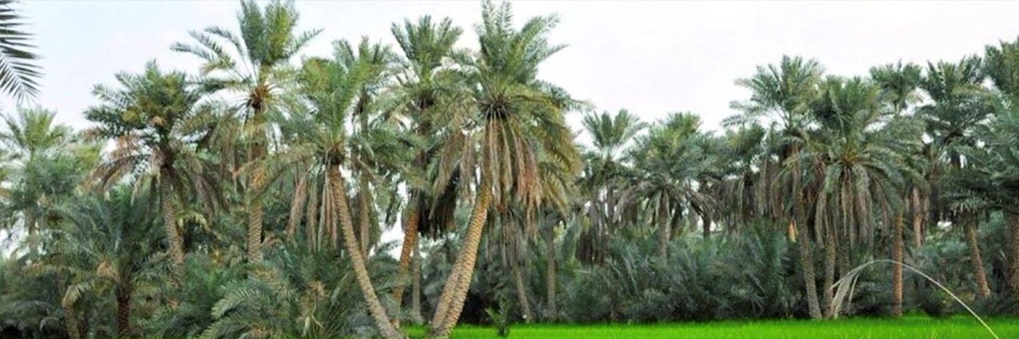 IsmailAlMalki's profile banner image