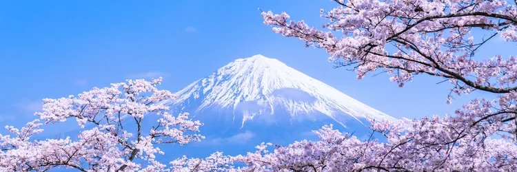 Suzuki（日本株@初心者ガイド ） banner