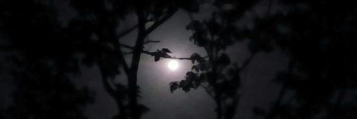 osman_cheema's profile banner image