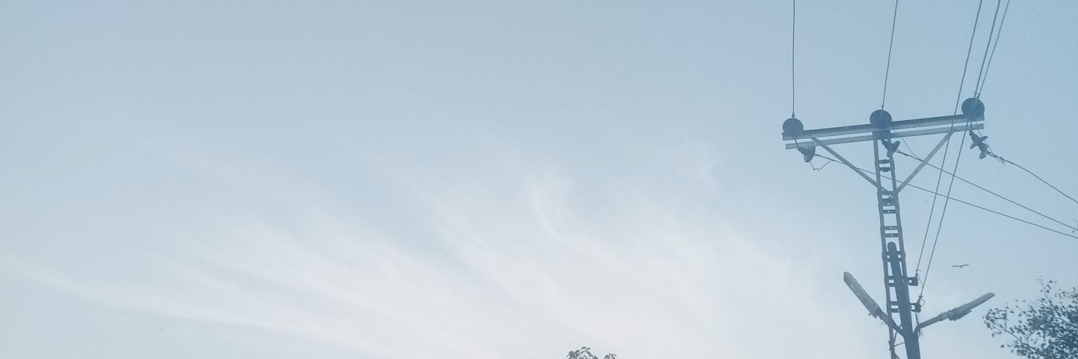 Inertia's banner