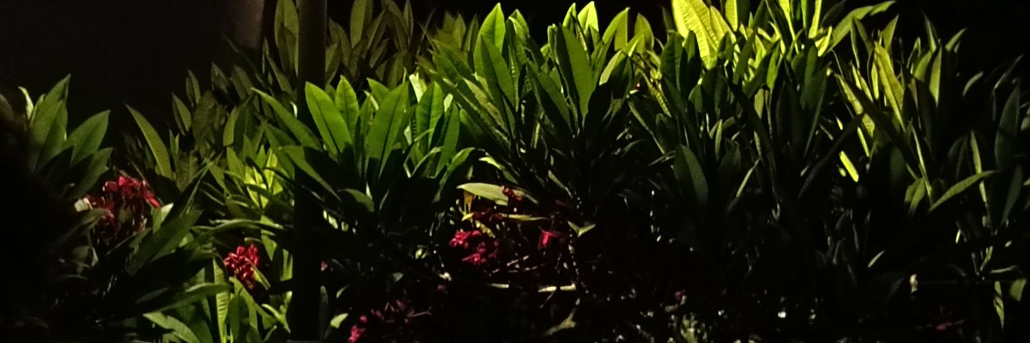 devyanshu123's profile banner image