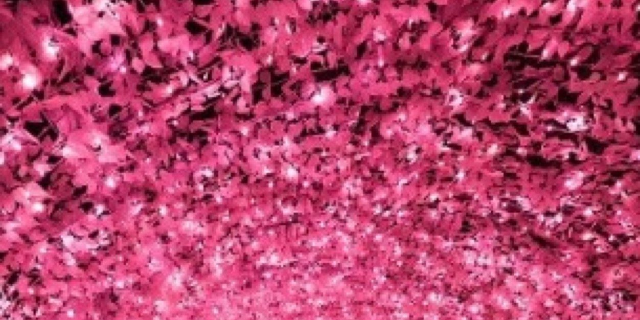 jasmine banner