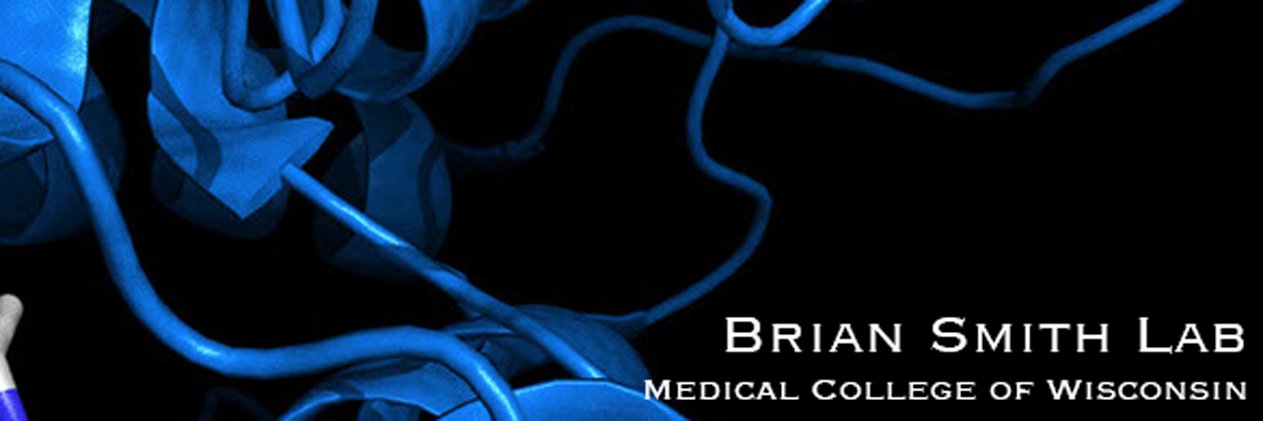 Brian Smith Lab banner