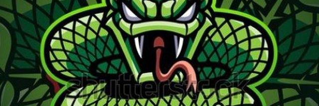 GrEeN mAmBa🐍 banner