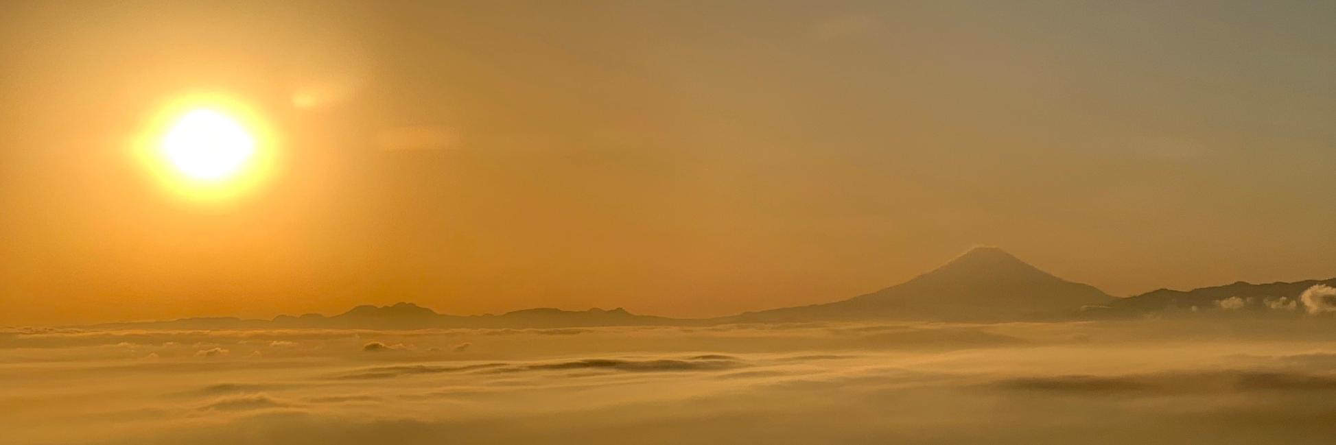 opalescentBird's profile banner image