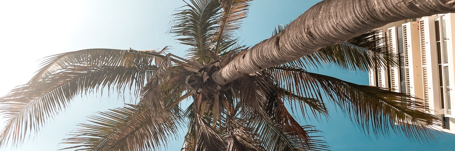 esedesalinas's profile banner image